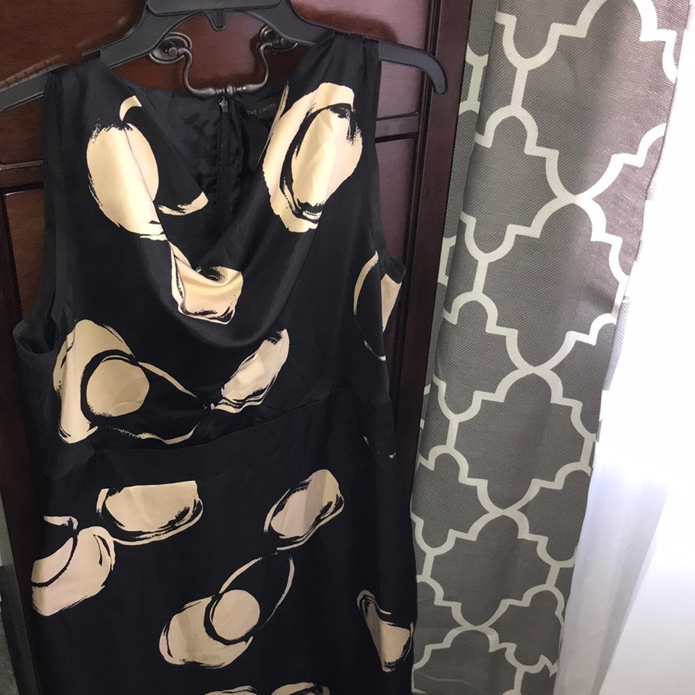 The Limited Collection Dress